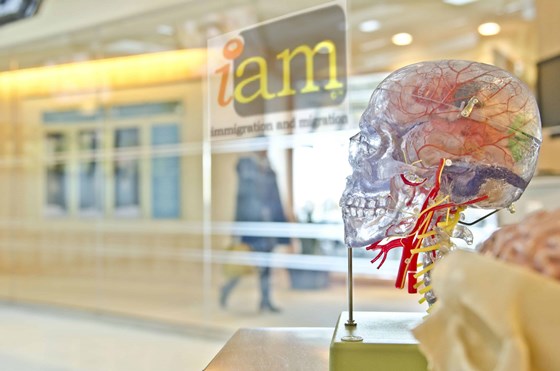 IAM (Immigration and Migration) : child settlement visa UK